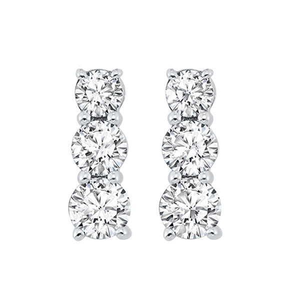 Silver Diamond 1/3Ctw Earring